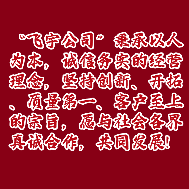 廣州飛宇
